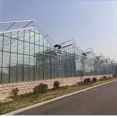 इंटेलिजेंट टेक्सचर्ड ग्लास ग्रीनहाउस